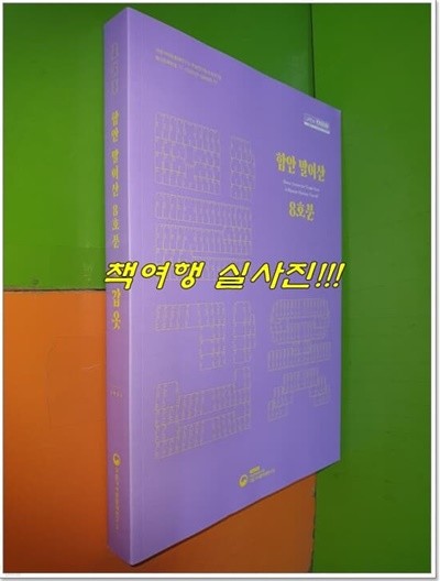 함안 말이산 8호분 : 말갑옷 (2022년)