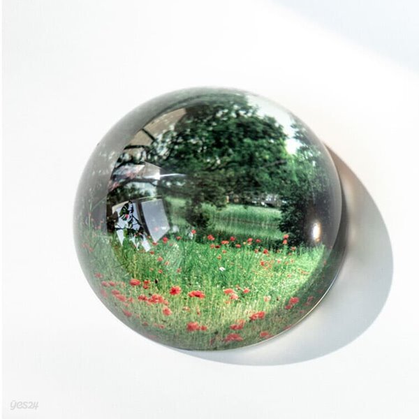 여름숲 유리 문진_M(77mm) - 예스24