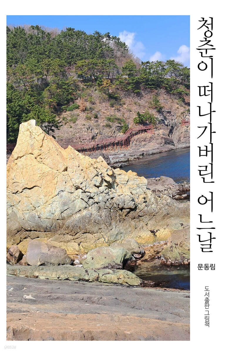 청춘이 떠나가버린 어느날