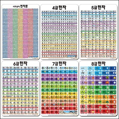 유아학습 벽그림 6종 세트(5단계)