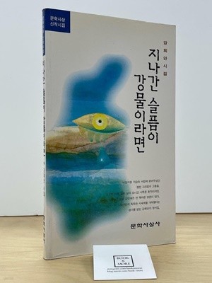 지나간 슬픔이 강물이라면/강희안/문학사상  --  상태 : 중급