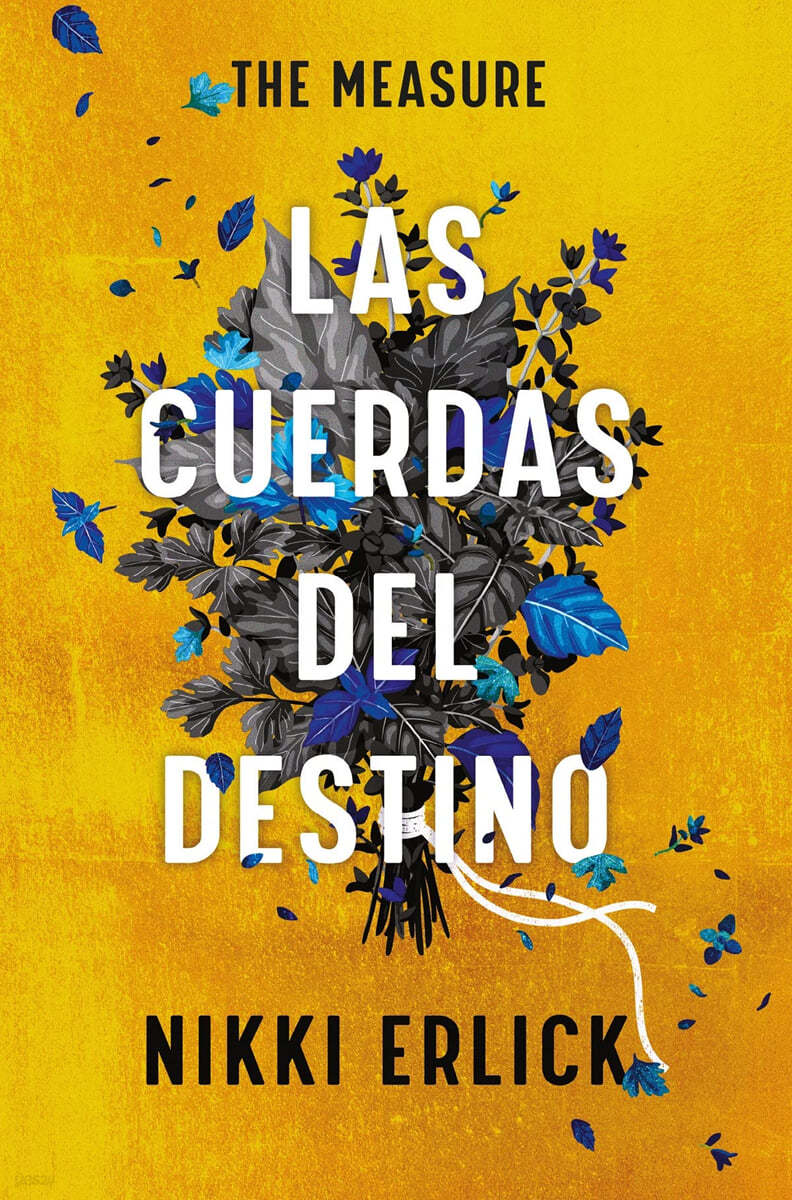 The Measure: Las Cuerdas del Destino