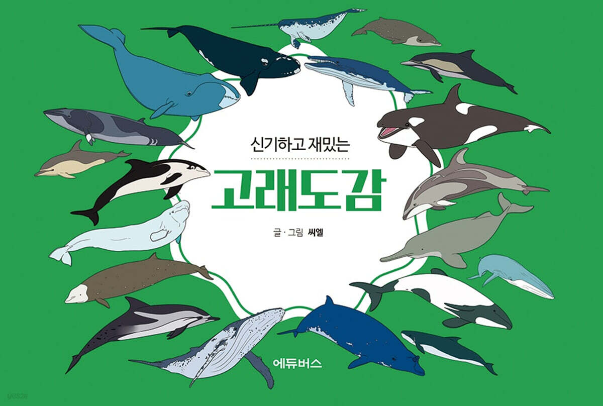 신기하고 재밌는 고래도감