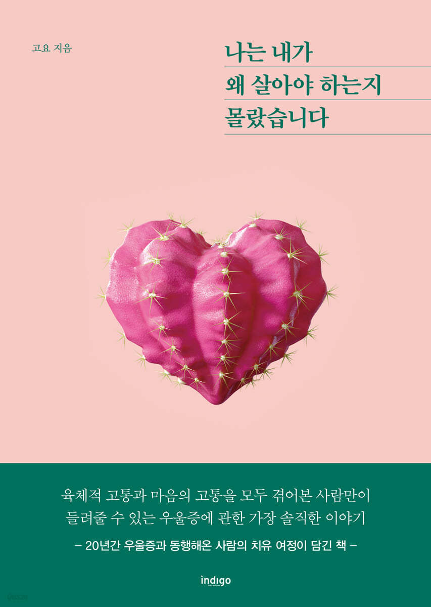 나는 내가 왜 살아야 하는지 몰랐습니다 (큰글자도서)