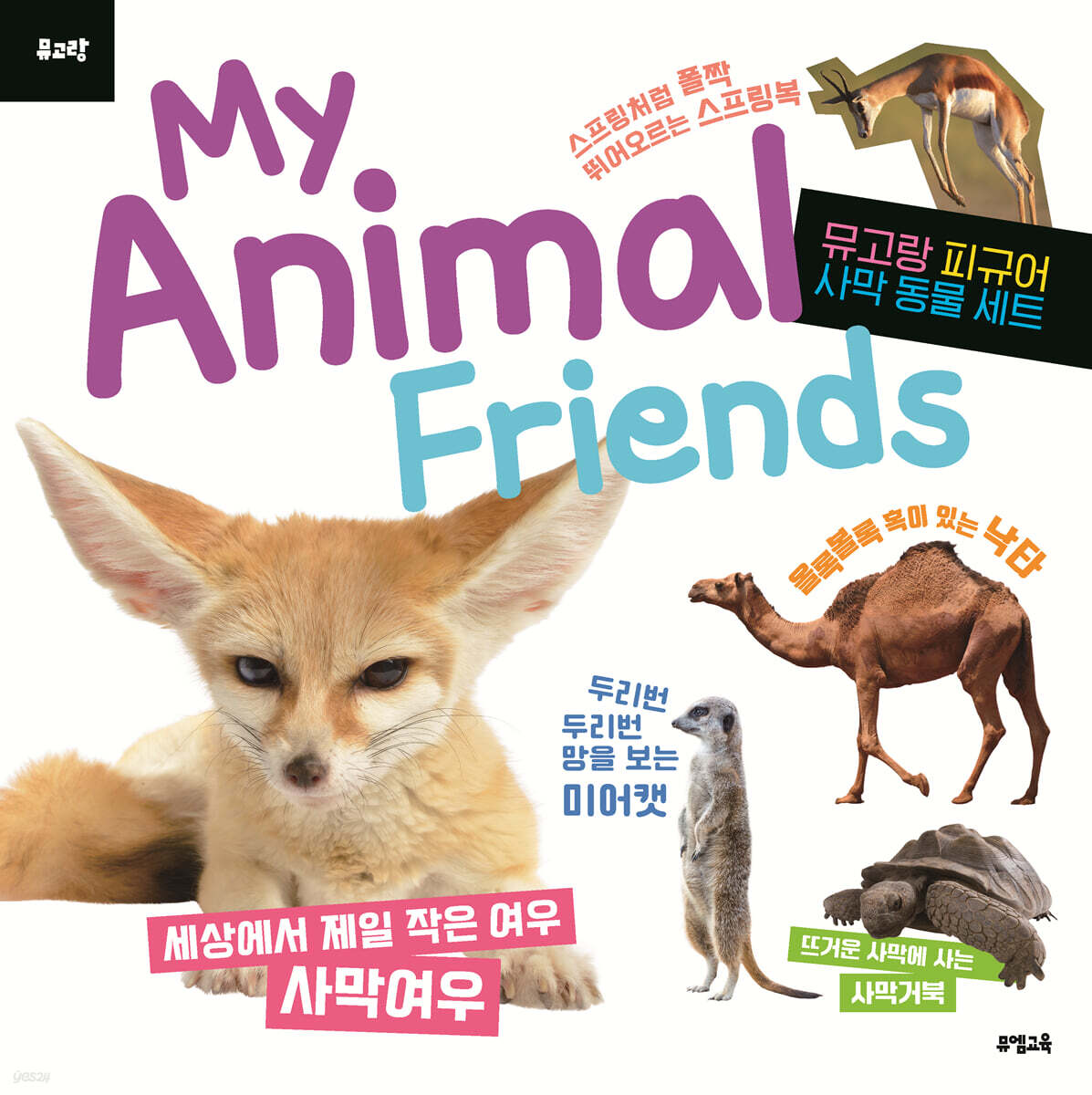 뮤고랑 My Animal Friends 사막 동물