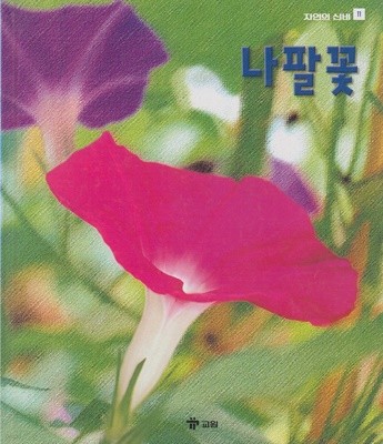 나팔꽃 (자연의 신비, 11)