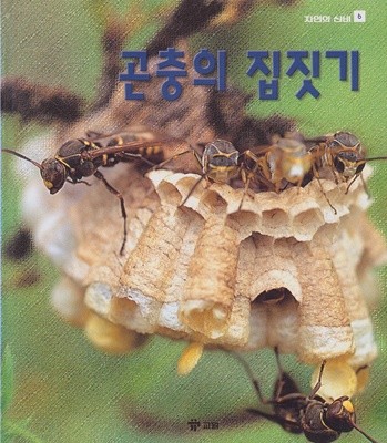 곤충의 집짓기 (자연의 신비, 6)