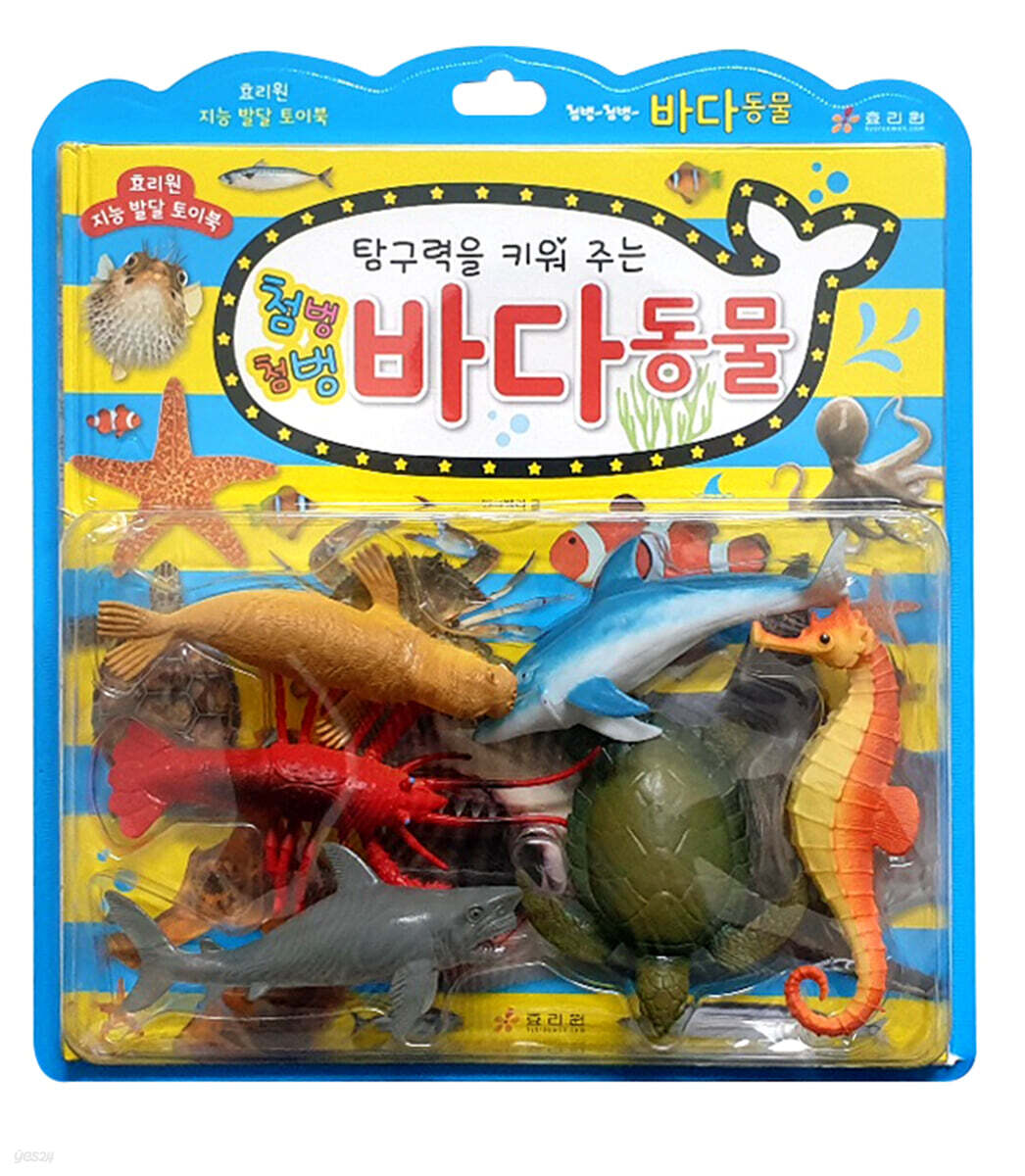 첨벙첨벙 바다 동물