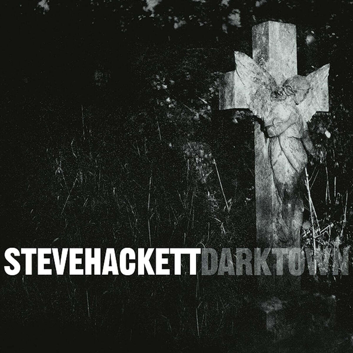 Steve Hackett (스티브 해킷) - Darktown [2LP]