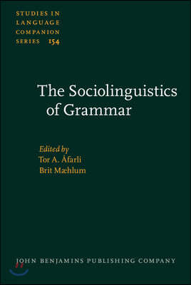The Sociolinguistics of Grammar