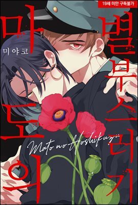 [페어리] 마도의 별부스러기