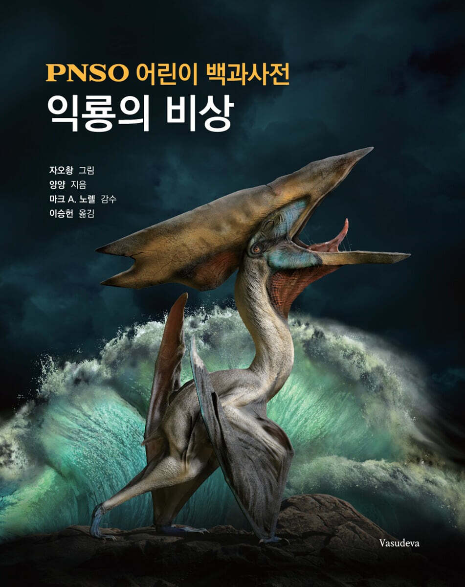 익룡의 비상