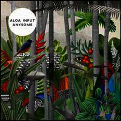 Aloa Input — Anysome 앨범 커버