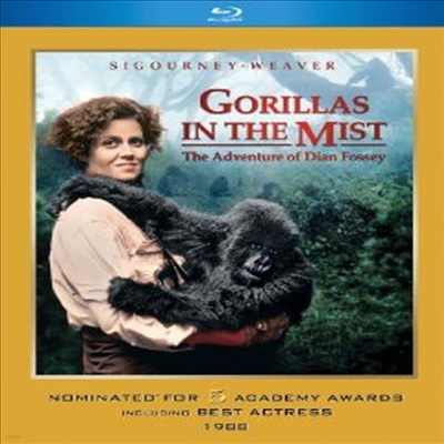 Gorillas in the Mist (  ) (ѱ۹ڸ)(Blu-ray) (1988)