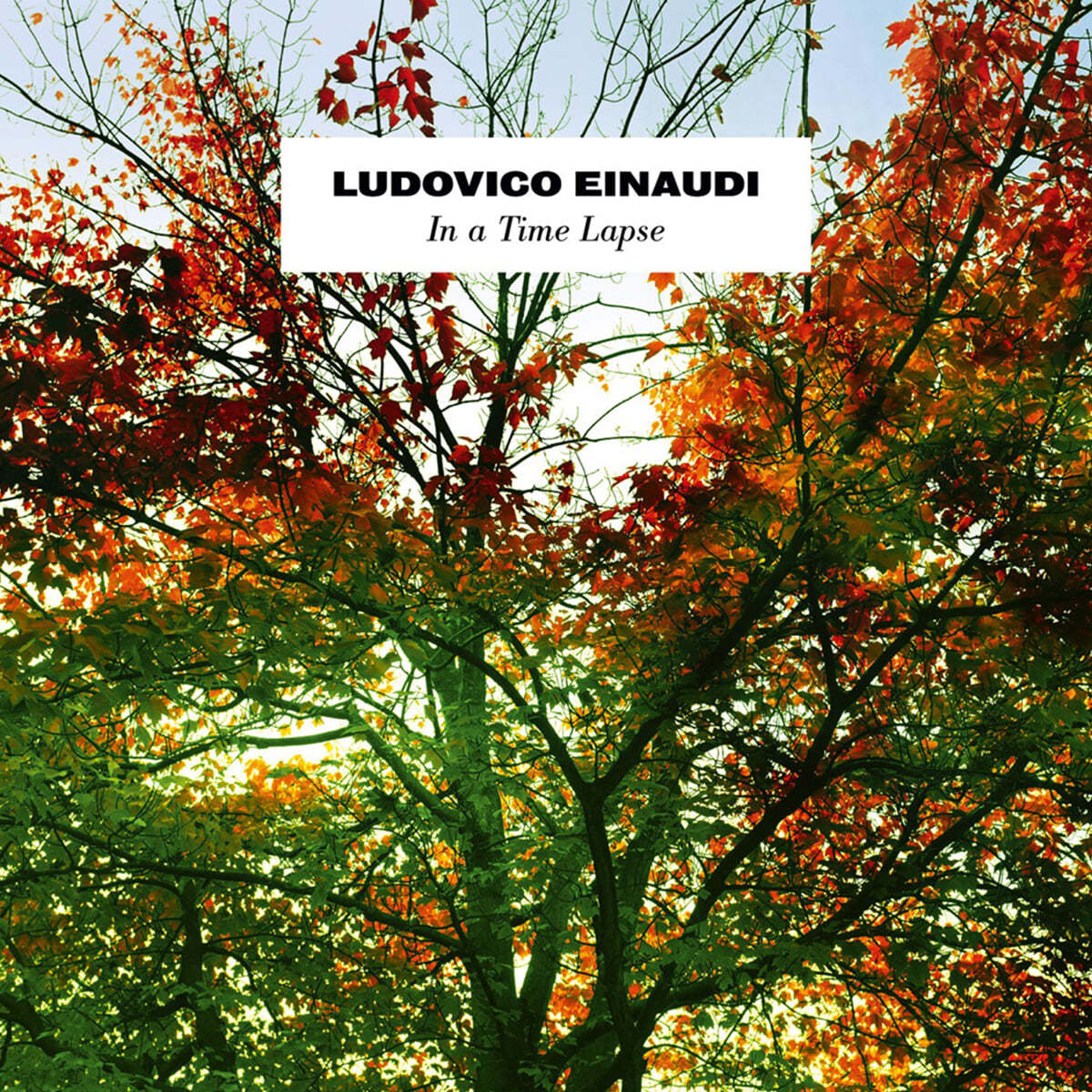 Ludovico Einaudi (루도비코 에이나우디) - In a Time Lapse [3LP]