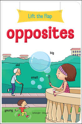 Lift the Flap: Opposites: Early Learning Novelty Board Book for Children