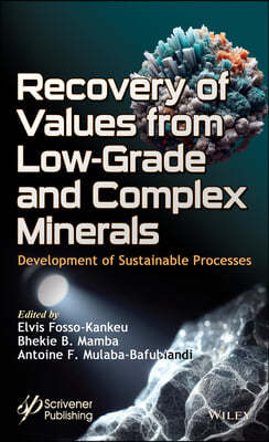 Recovery of Values from Low-Grade and Complex Minerals: Development of Sustainable Processes