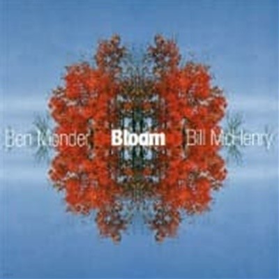 Ben Monder & Bill Mchenry / Bloom (수입)