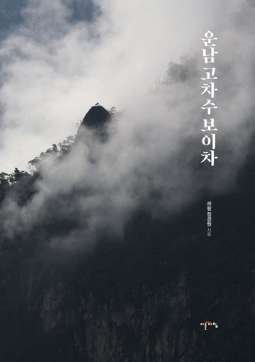 운남 고차수 보이차