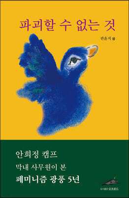 파괴할 수 없는 것