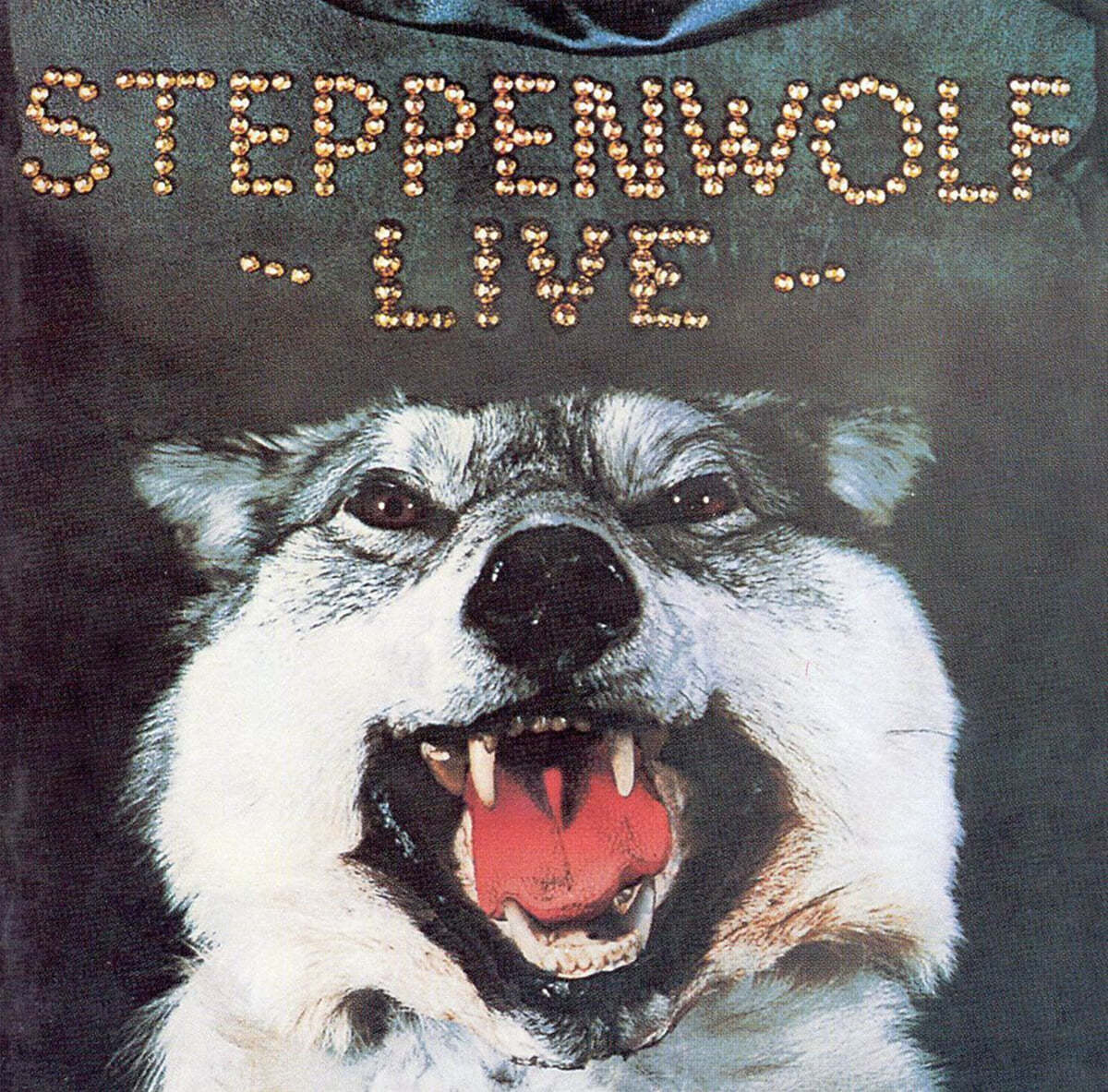 Steppenwolf (스태픈울프) - Live