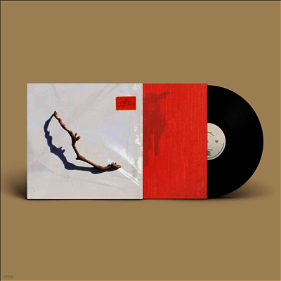 PJ Harvey — I Inside The Old Year Dying 앨범 커버