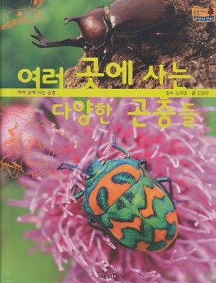 여러 곳에 사는 다양한 곤충들 (교과서가 보이는 자연의 신비, 43 - 여러 곳에 사는 곤충)