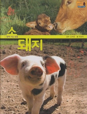 소ㆍ돼지 (교과서가 보이는 자연의 신비, 5 - 땅에 사는 동물)