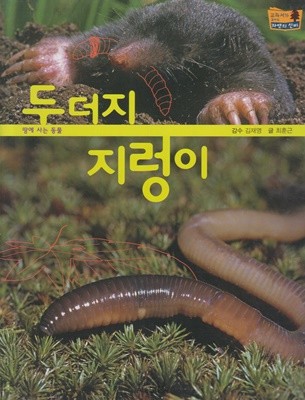 두더지ㆍ지렁이 (교과서가 보이는 자연의 신비, 14 - 땅에 사는 동물)