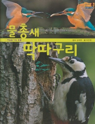 물총새ㆍ딱따구리 (교과서가 보이는 자연의 신비, 32 - 하늘을 나는 동물)