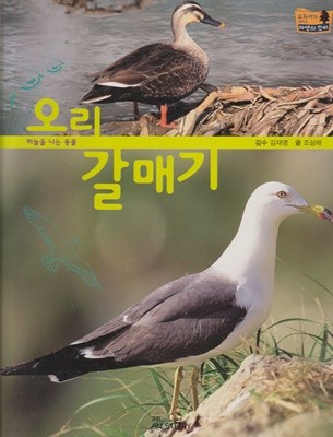 오리ㆍ갈매기 (교과서가 보이는 자연의 신비, 34 - 하늘을 나는 동물)