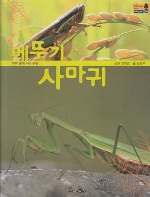 메뚜기ㆍ사마귀 (교과서가 보이는 자연의 신비, 37 - 여러 곳에 사는 곤충)