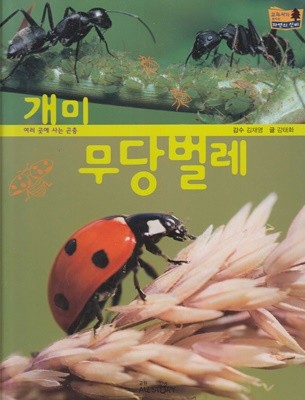개미ㆍ무당벌레 (교과서가 보이는 자연의 신비, 38 - 여러 곳에 사는 곤충)