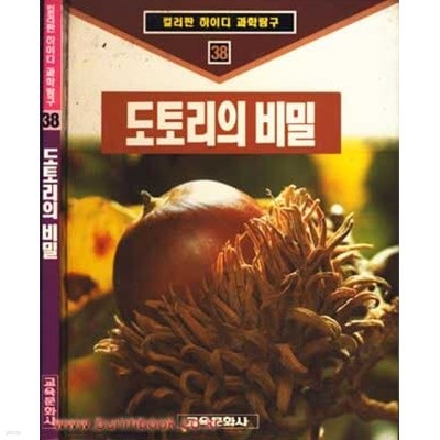 컬러판 하이디 과학탐구  38 도토리의 비밀