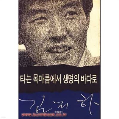 1991년 초판 김지하 타는 목마름에서 생명의 바다로