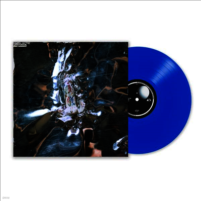Model,Actriz — Dogsbody 앨범 커버