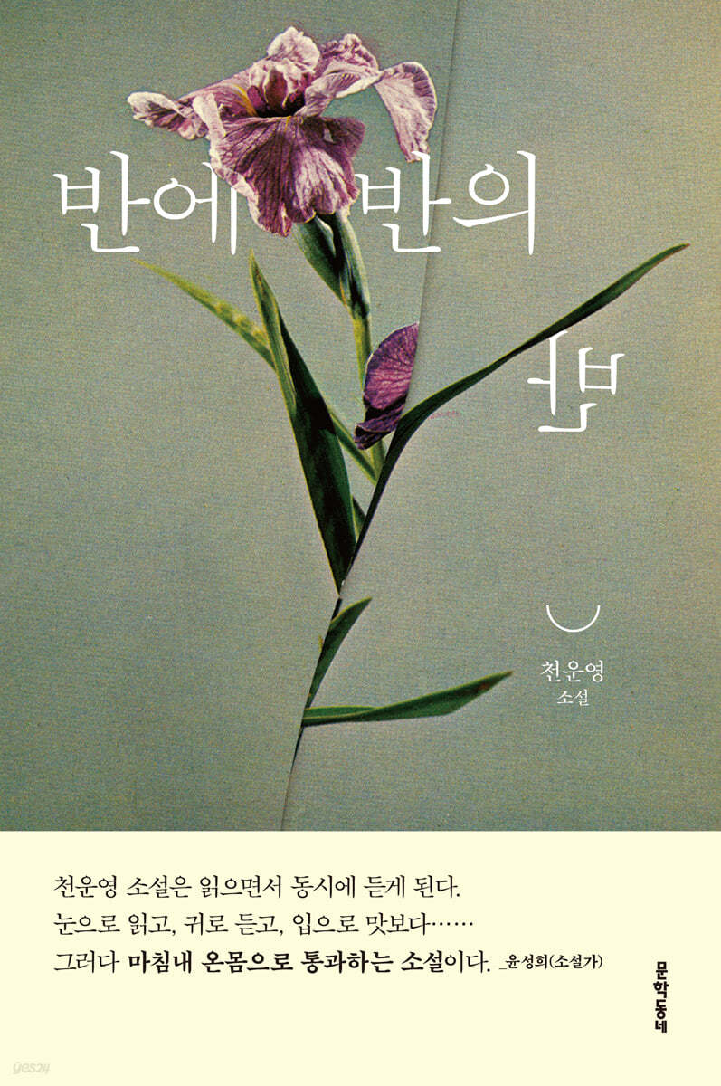 반에 반의 반