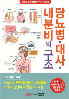 당뇨병 대사 내분비의 구조  