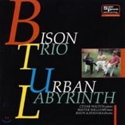 Bison Katayama Trio / Urban Labyrinth