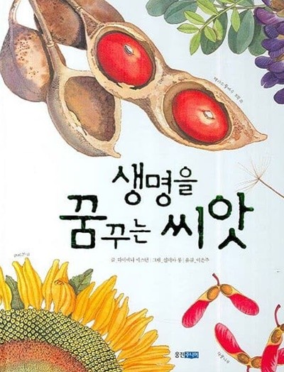 생명을 꿈꾸는 씨앗 (아이빛 지식그림, 03)