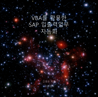 VBA를 활용한 SAP 입출력업무 자동화