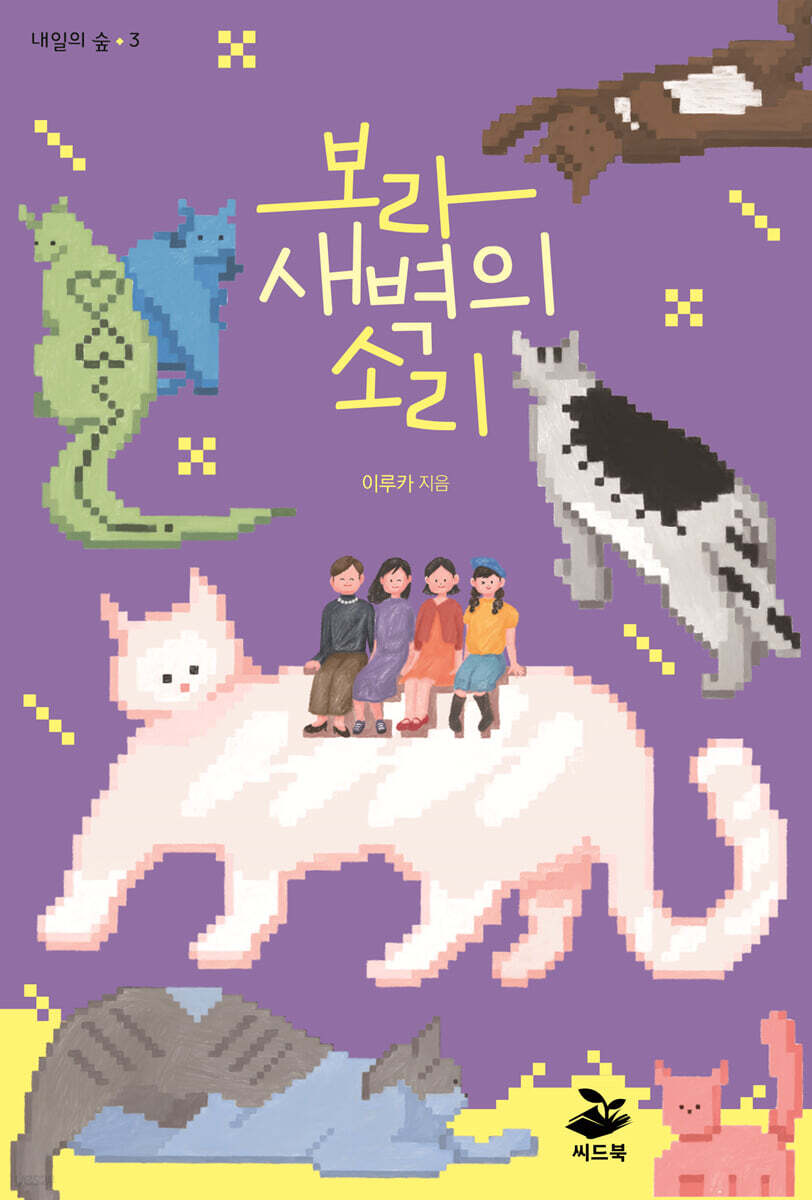 보라 새벽의 소리