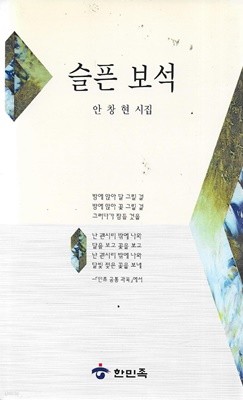 슬픈 보석 : 안창현 시집