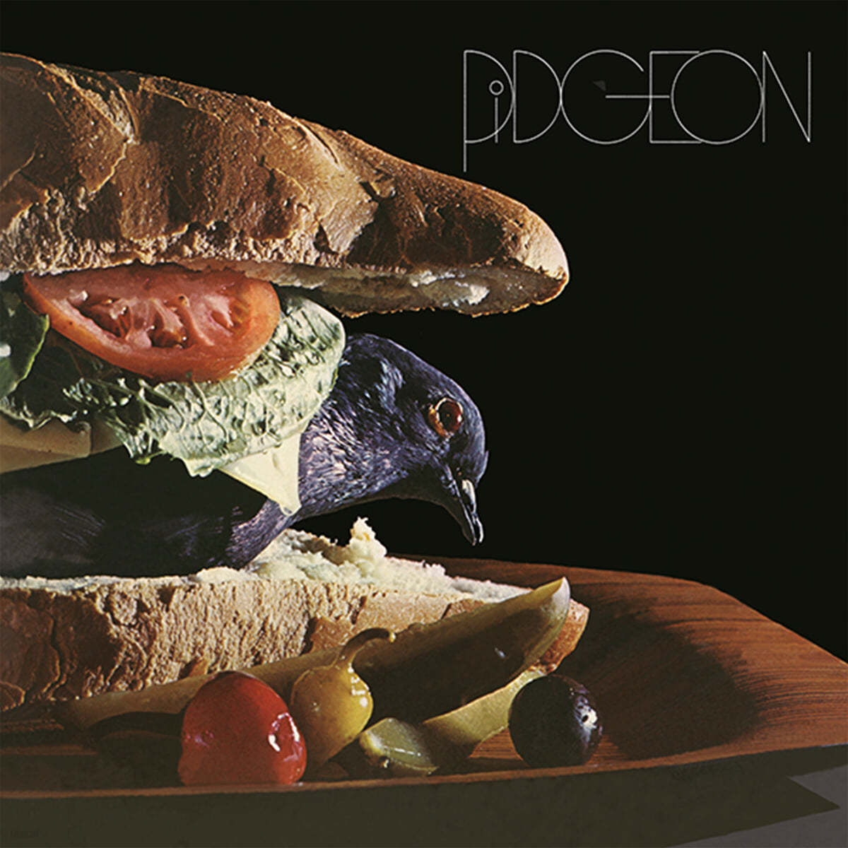Pidgeon (피전) - Pidgeon 