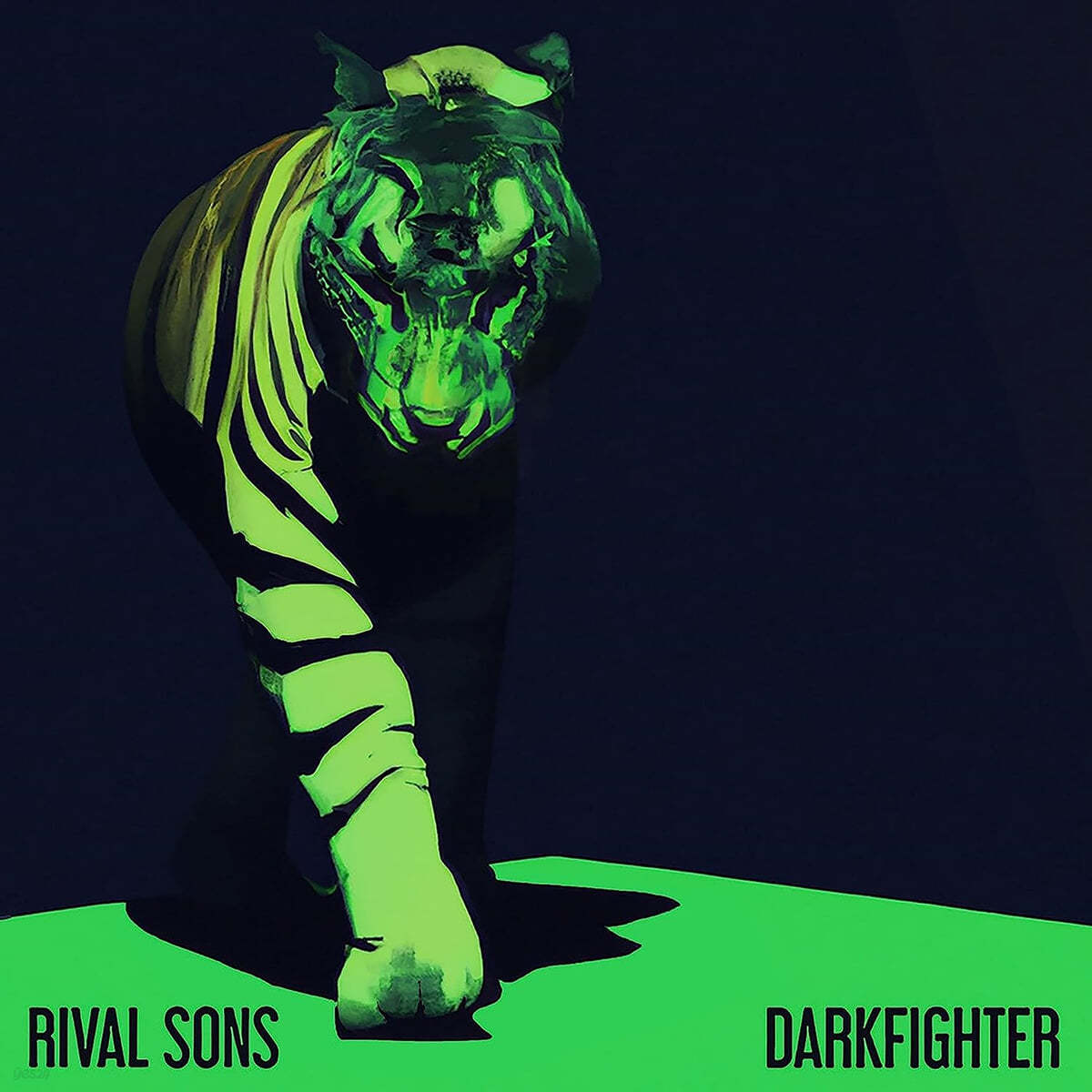 Rival Sons (라이벌 선즈) - 7집 Darkfighter