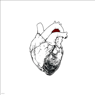Swans — Beggar 앨범 커버