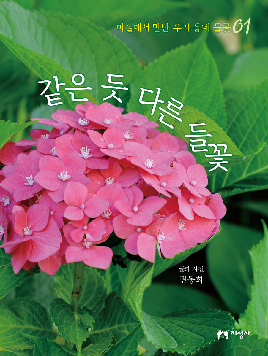 같은 듯 다른 들꽃