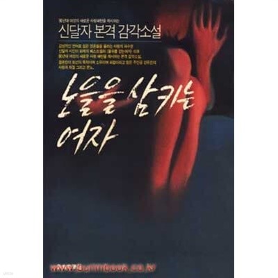 신달자소설 노을을 삼키는 여자