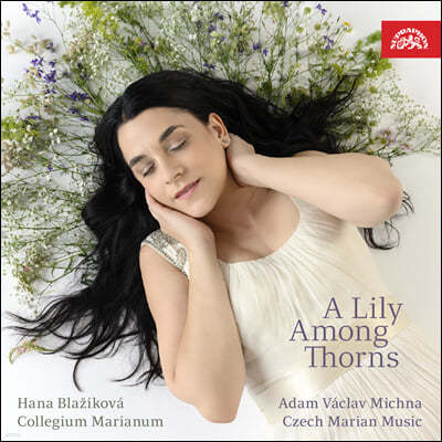 Hana Blazikova 17 ̾   (A Lily Among Thorns - Czech Marian Music)