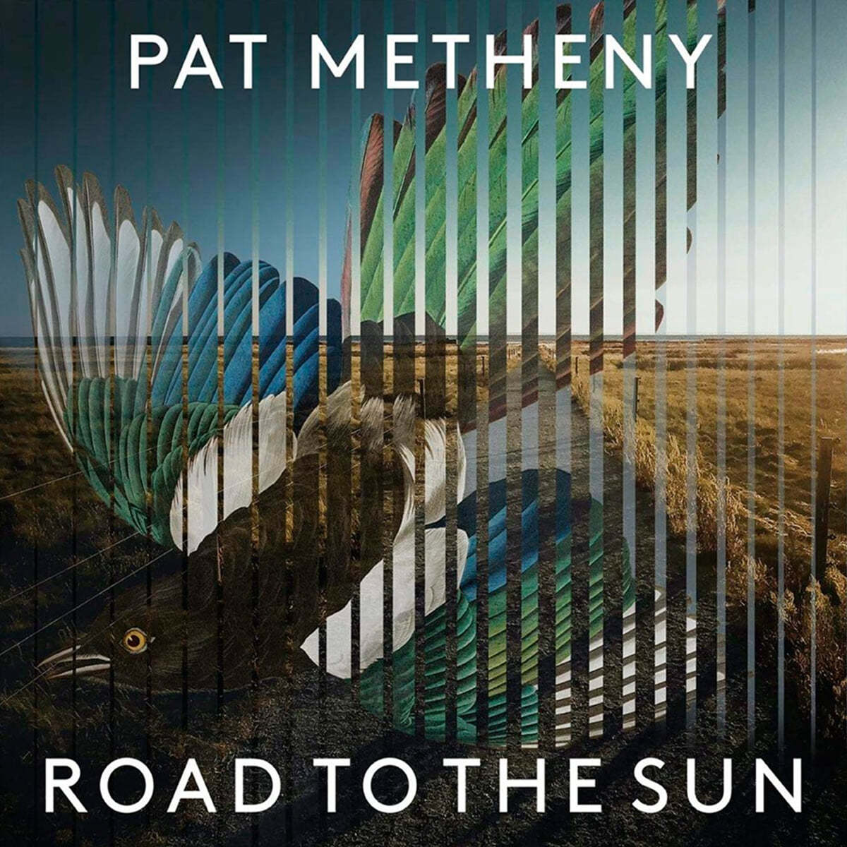 Pat Metheny (팻 메스니) - Road To The Sun [LP]